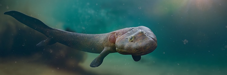 Very unique sea animal swimming near the ocean floor