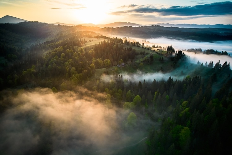 Aerial view of a misty, green landscape at sunrise, evoking the concept of the creation of Earth.