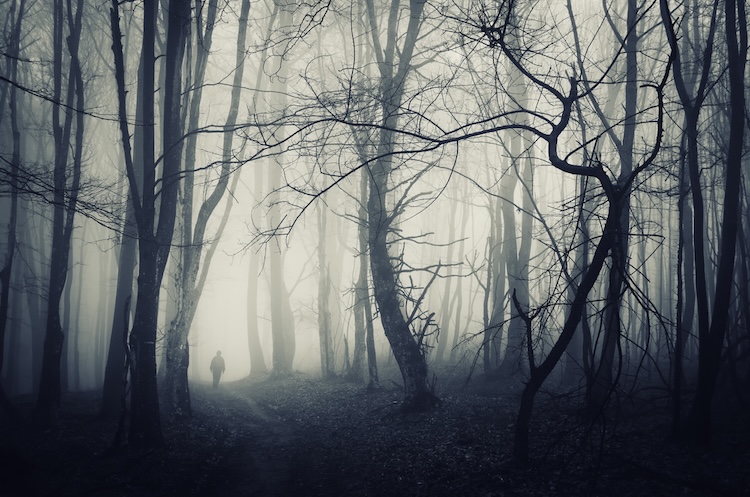 A solitary figure walking through a foggy forest, evoking a feeling of mystery.