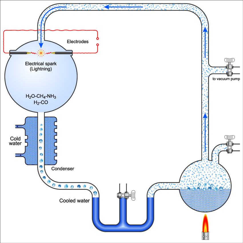 diagram showing how scientists study the origin of life