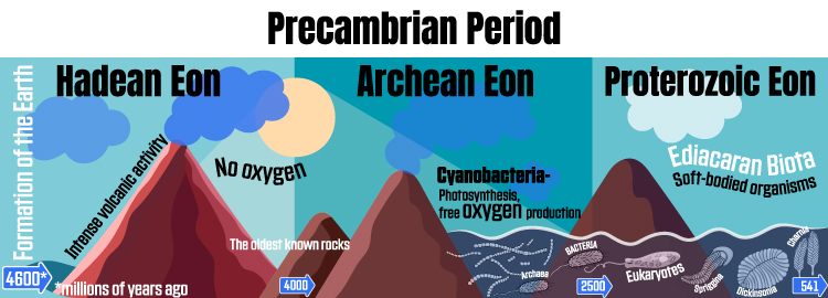 timeline of the Precambrian Period that shows when and how life began on earth