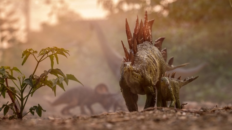 Realistic CGI scene of a stegosaurus and its young walking through a misty, prehistoric forest, with other dinosaurs blurred in the background, illustrating dinosaurs created by God long ago and now known mainly through fossils.