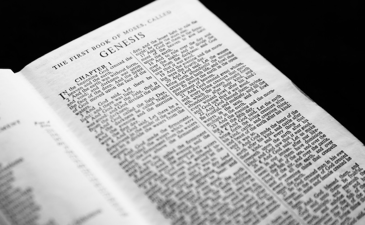 An open Bible displaying Genesis 1, showing the creation account that many readers explore when considering how faith in God’s creative work relates to scientific explanations of life’s history.