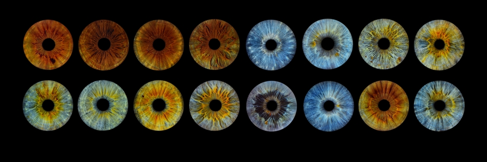 Close-up images of human irises in different colors, illustrating genetic variation and what Adam and Eve may have looked like.