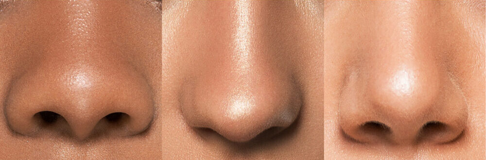 Side-by-side close-ups showing different human nose structures, representing facial diversity related to what Adam and Eve looked like.