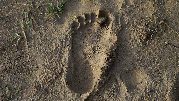 Human footprint impressed in dry soil, symbolizing early human movement and migration across ancient landscapes.