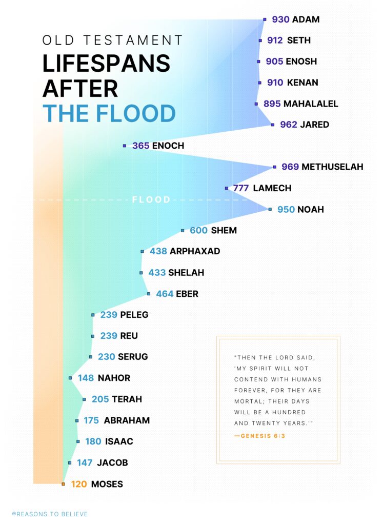 Chart showing how long people lived in the Bible, illustrating the decline in lifespans from Genesis patriarchs before and after the Flood.