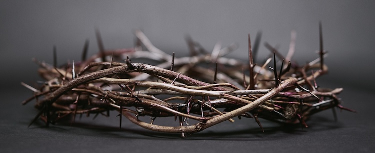 A crown of thorns made of intertwined branches with sharp, protruding spikes, set against a dark background.