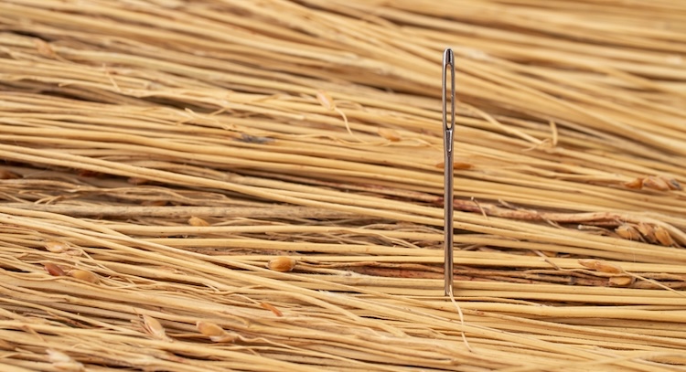 Needle hidden in a haystack, illustrating the remarkable probability of the fulfillment of prophecies of Jesus’s resurrection
