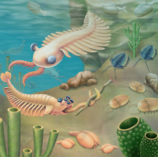 File:Figure 27 04 03.jpg