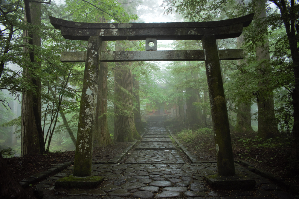 Traditional Japanese torii gate at the entrance to a forest shrine path.