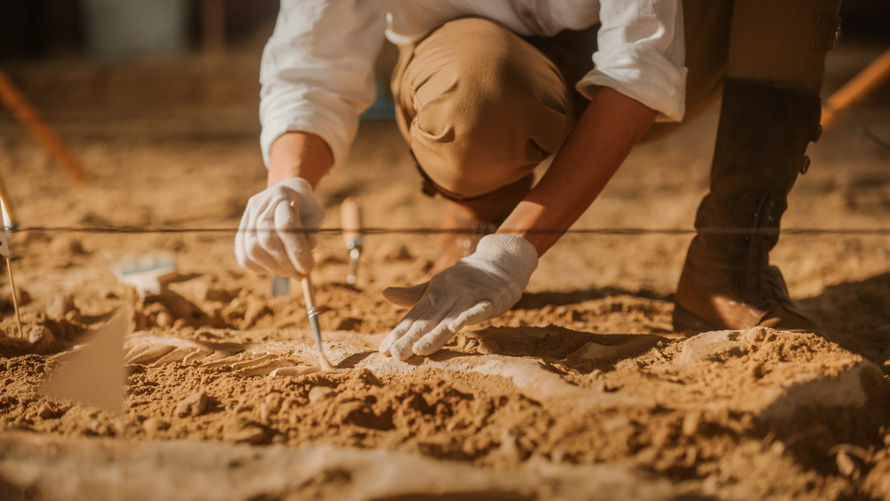 Archaeologist brushing away soil during an excavation, symbolizing historical investigation into whether the Bible is true.