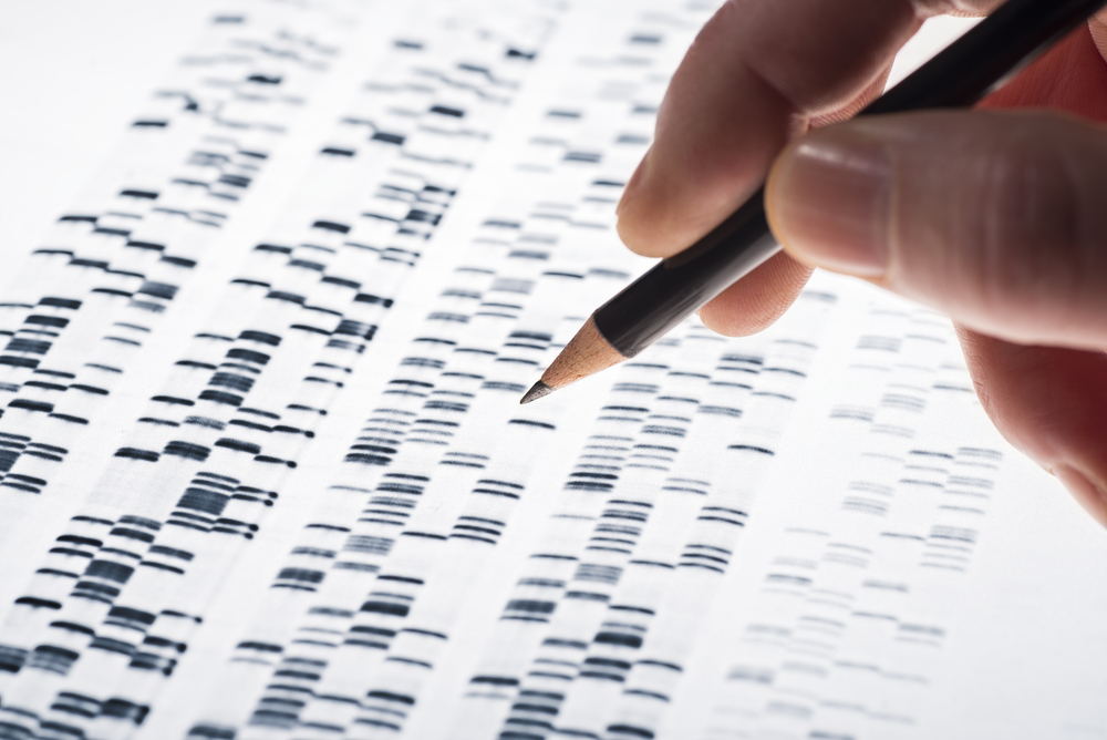 A close-up of a hand reviewing gene mapping.