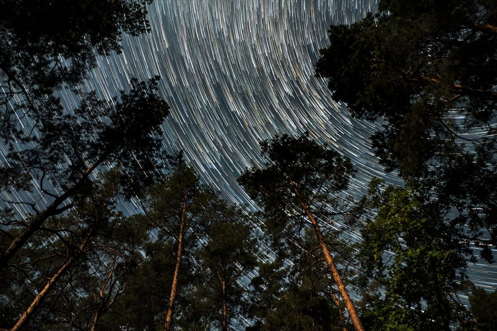 A picture of the multi-faceted galactic sky from inside a forest that reflects God as multifaceted
