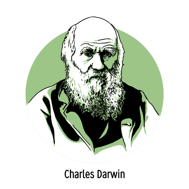 Portrait of Charles Darwin.